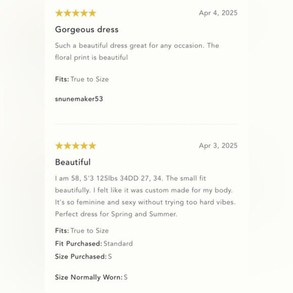 NWT Size L -Anthropologie Sleeveless V-Neck Lace Slip Midi Dress (NWT US$ 178) - Picture 11 of 17